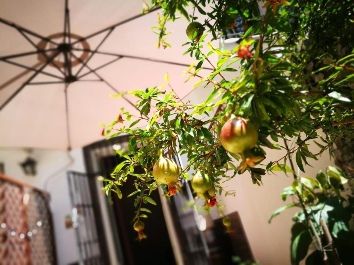 Bella Palermo Bed & Breakfast Bagian luar foto