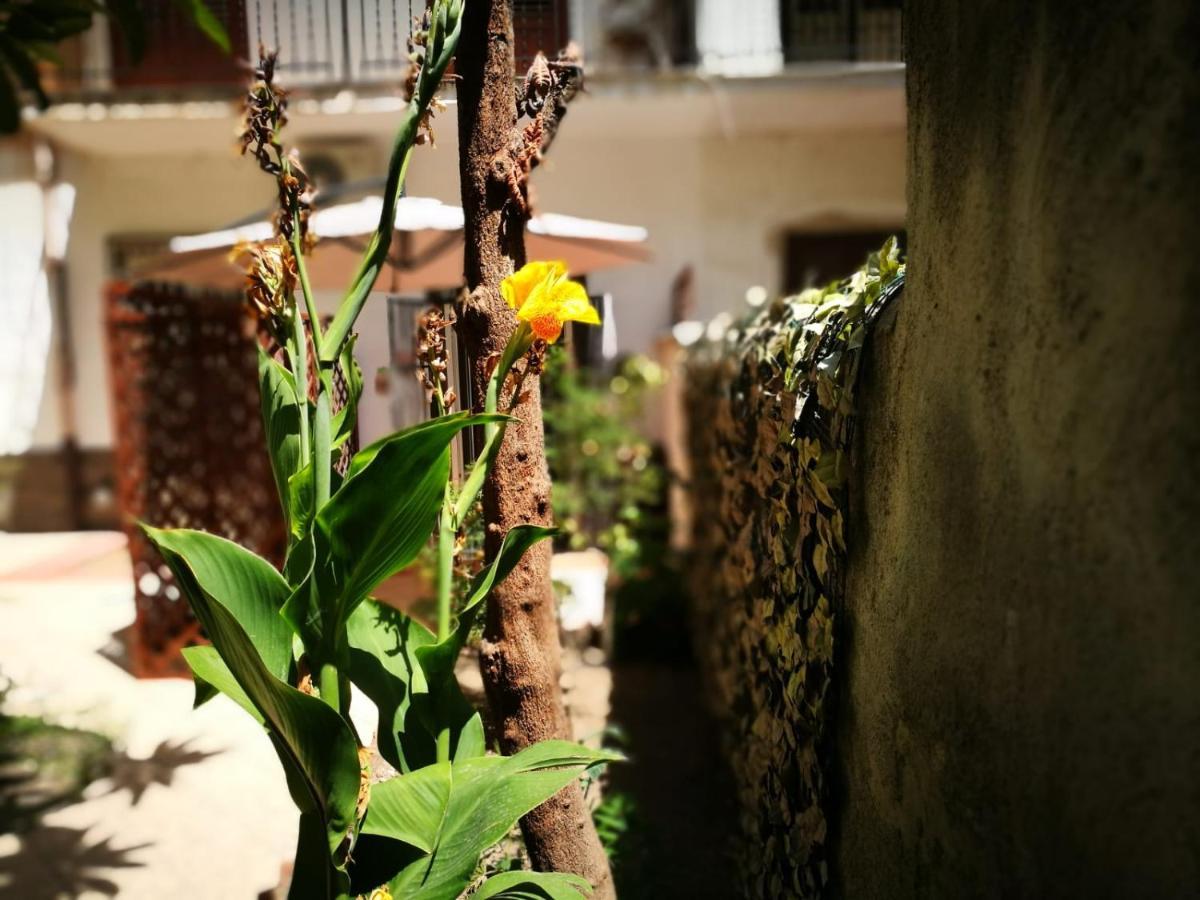 Bella Palermo Bed & Breakfast Bagian luar foto