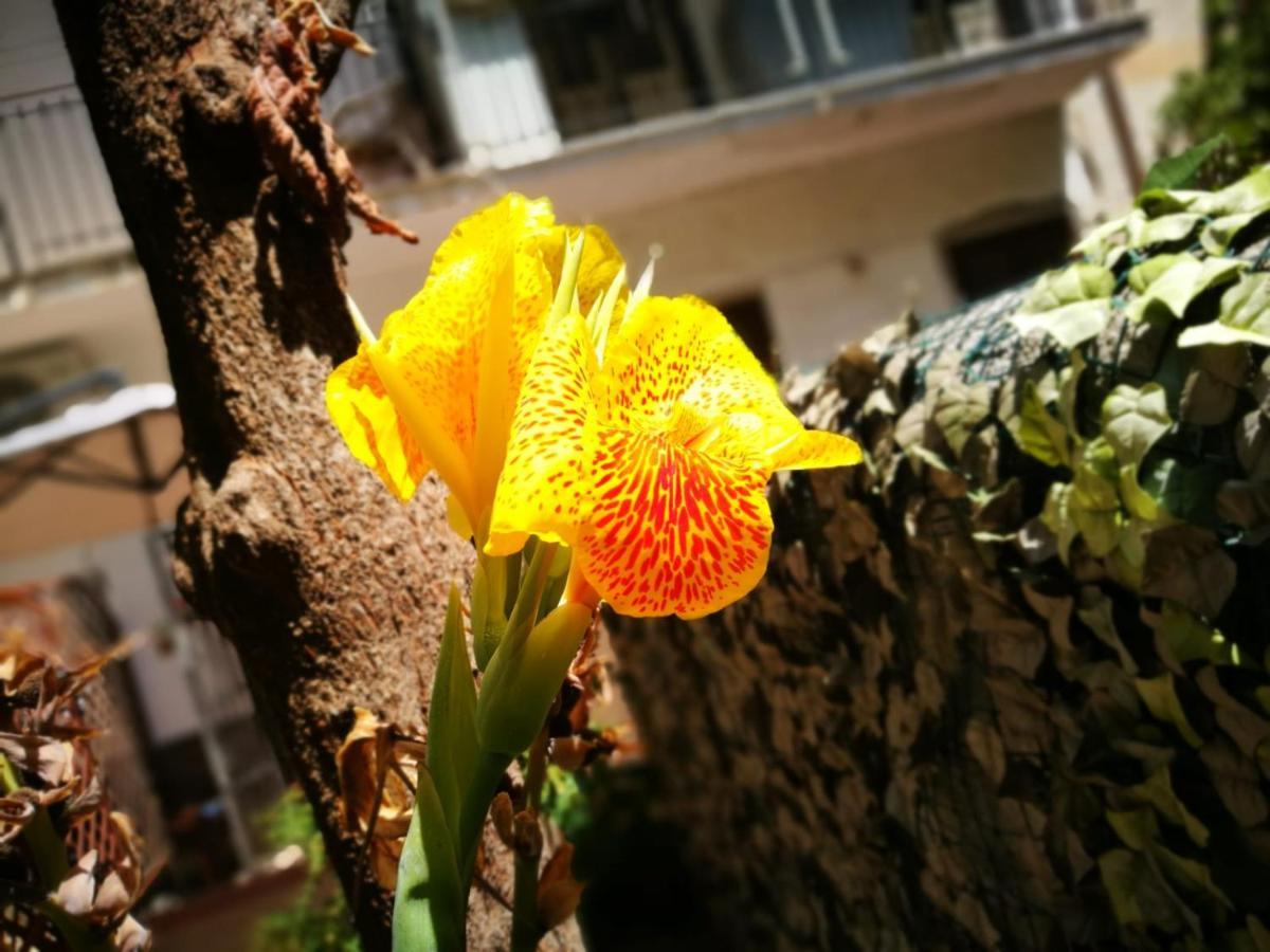 Bella Palermo Bed & Breakfast Bagian luar foto