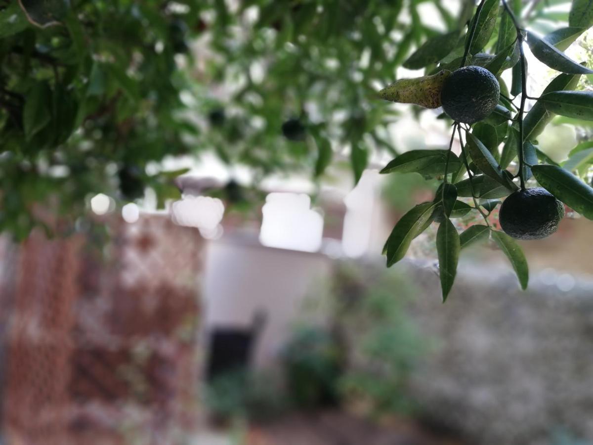 Bella Palermo Bed & Breakfast Bagian luar foto