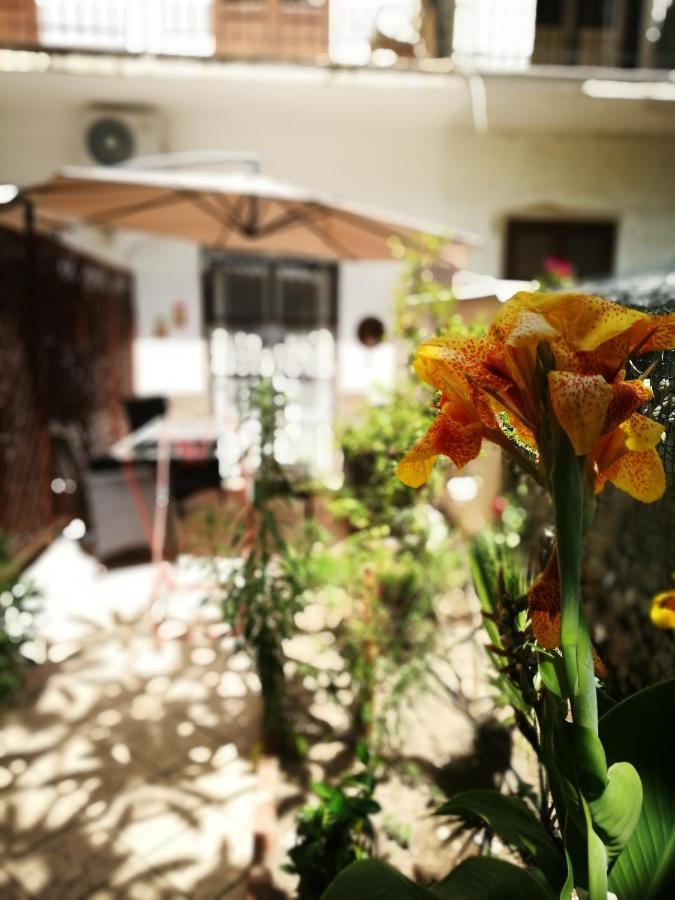 Bella Palermo Bed & Breakfast Bagian luar foto